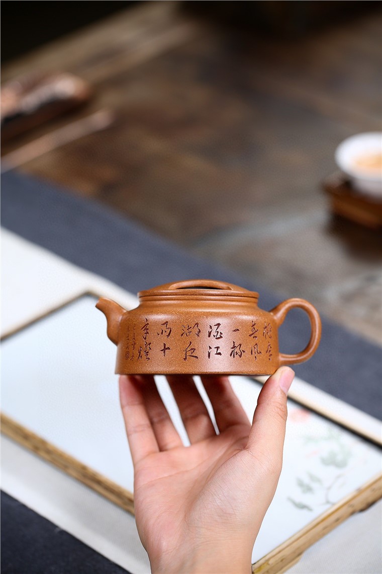 白洪欣作品 牛盖莲子图片