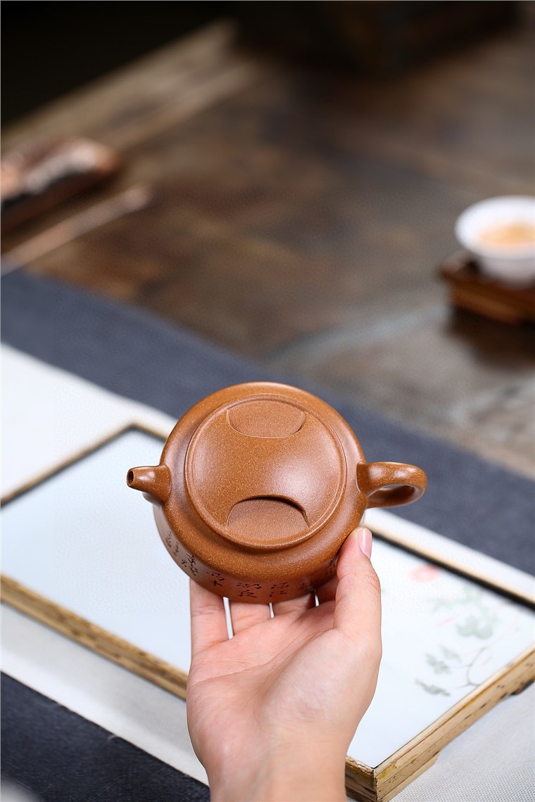 白洪欣作品 牛盖莲子图片