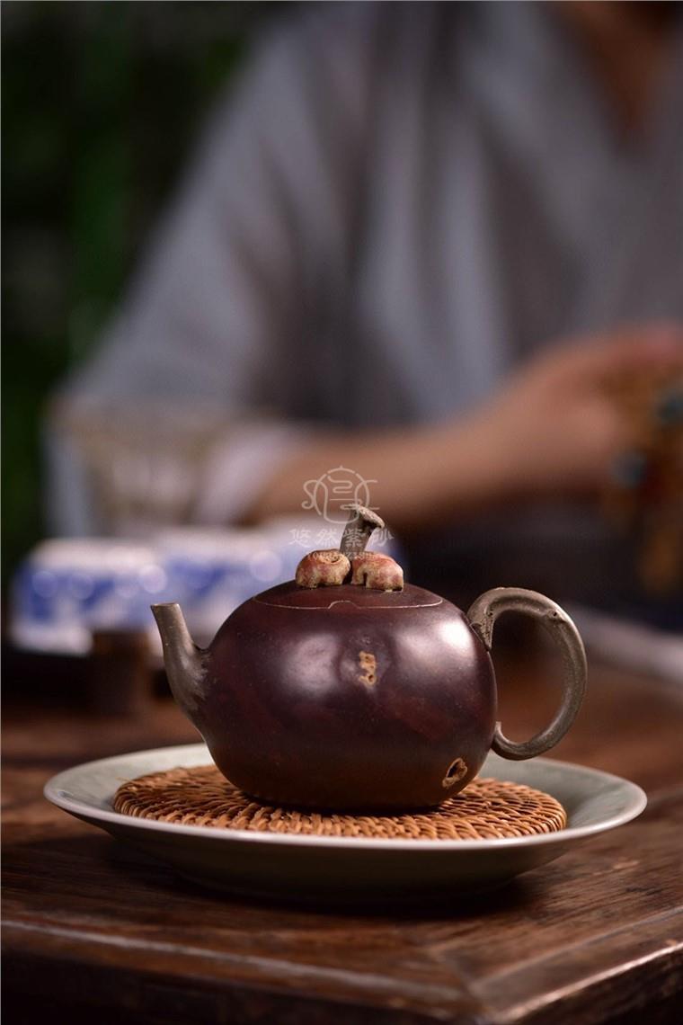 徐海龙作品 山竹图片