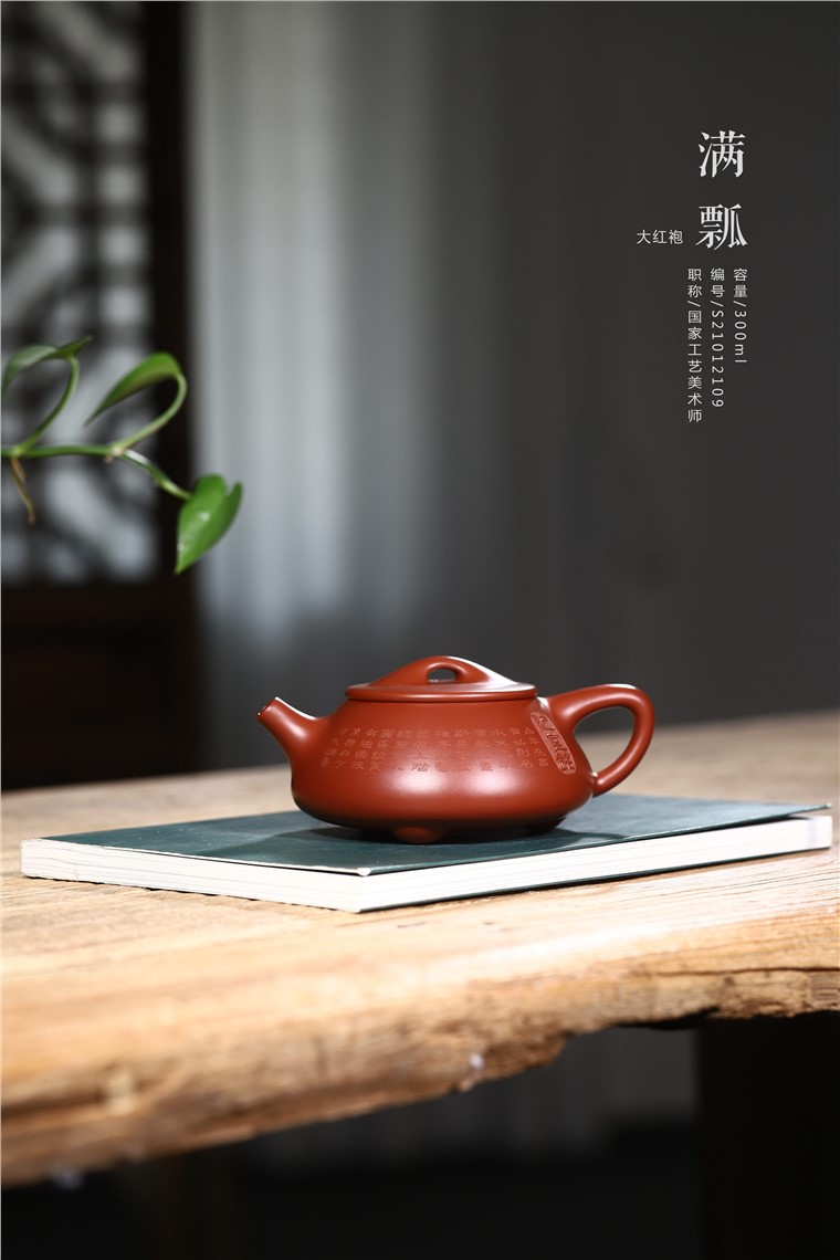 郁晴作品 景舟石瓢图片