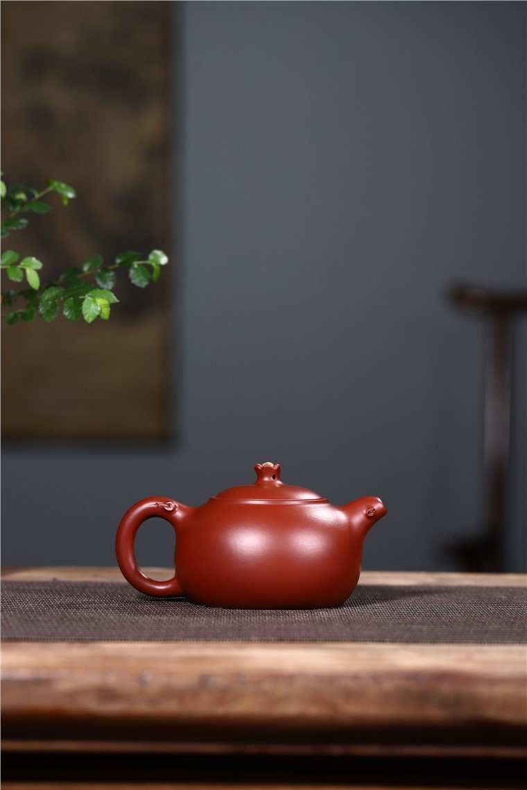 史宗娟作品 花开富贵图片