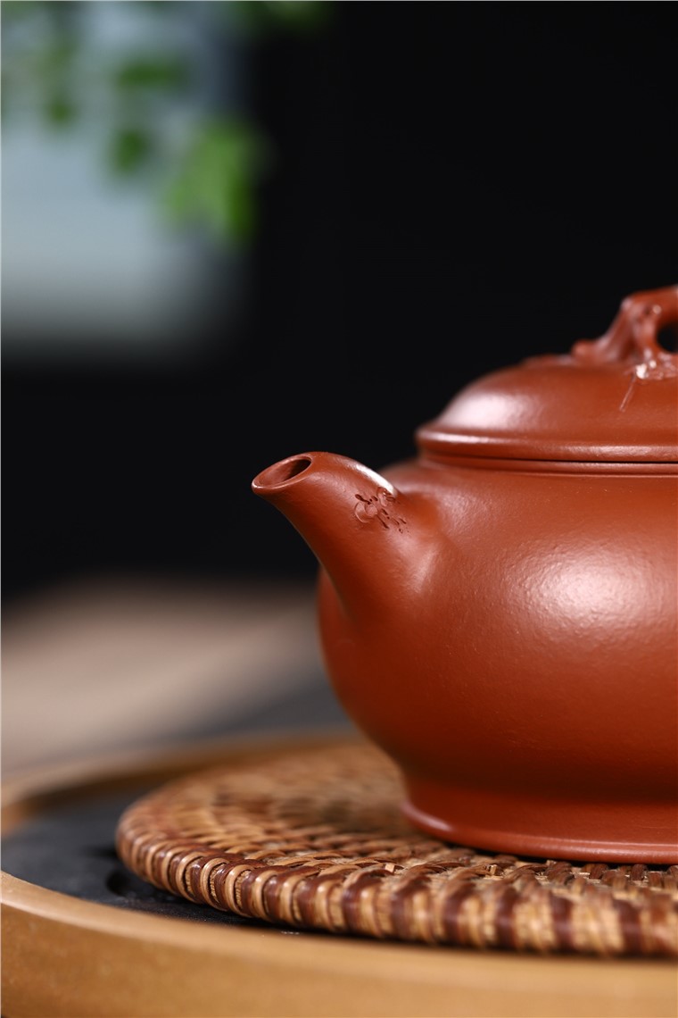 徐勤作品 玉梅图片