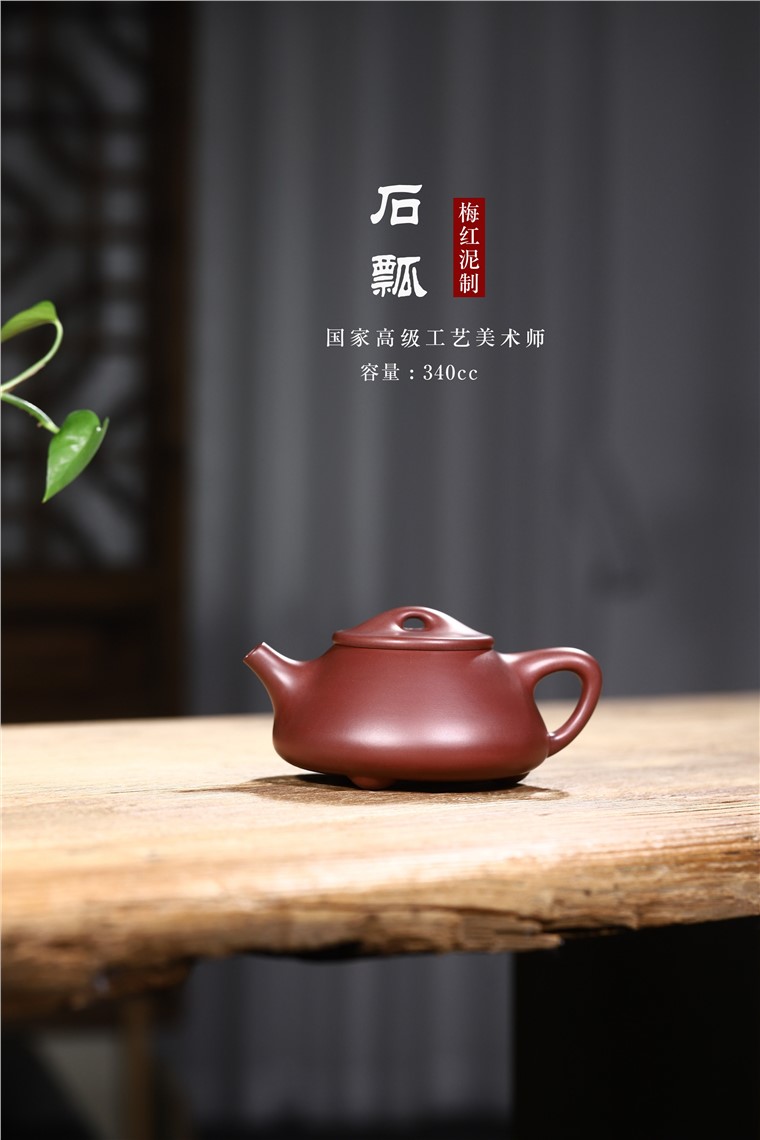 范君浩作品 石瓢图片