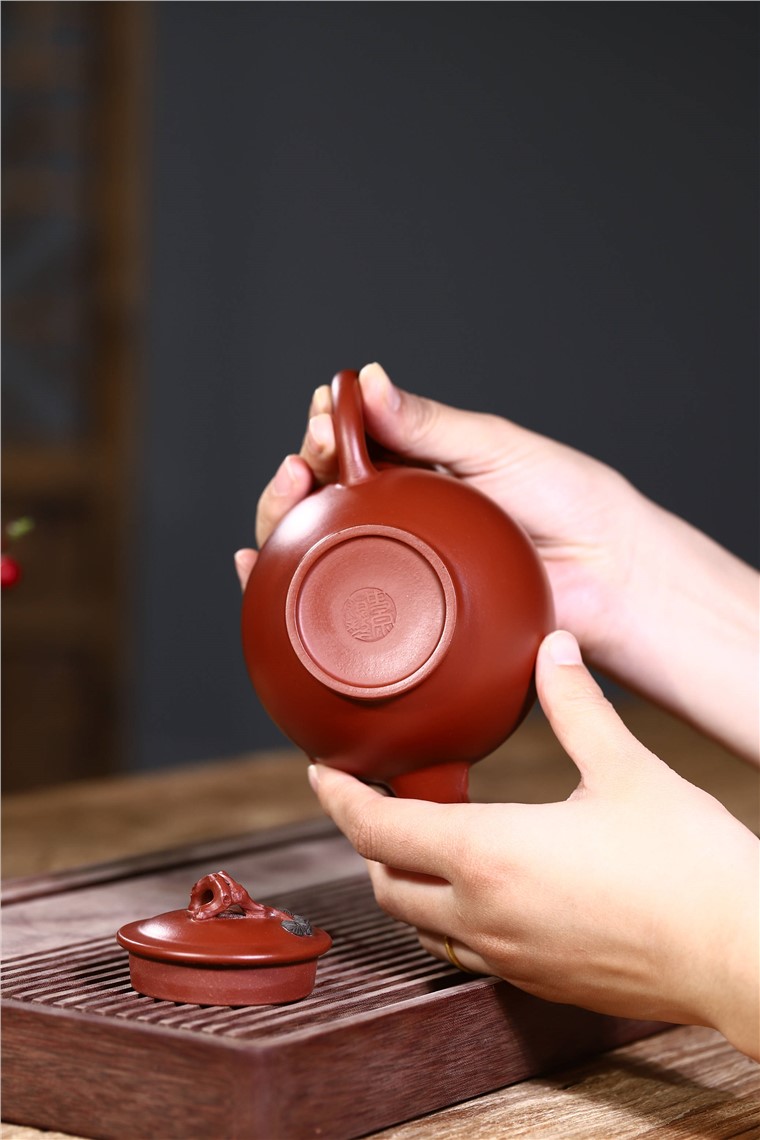 史宗娟作品 松枝报春