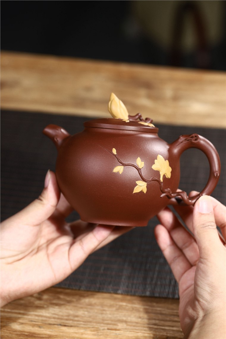 史宗娟作品 玉兰春风图片