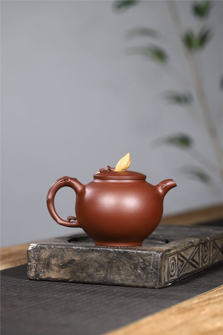 史宗娟作品 玉兰春风图片