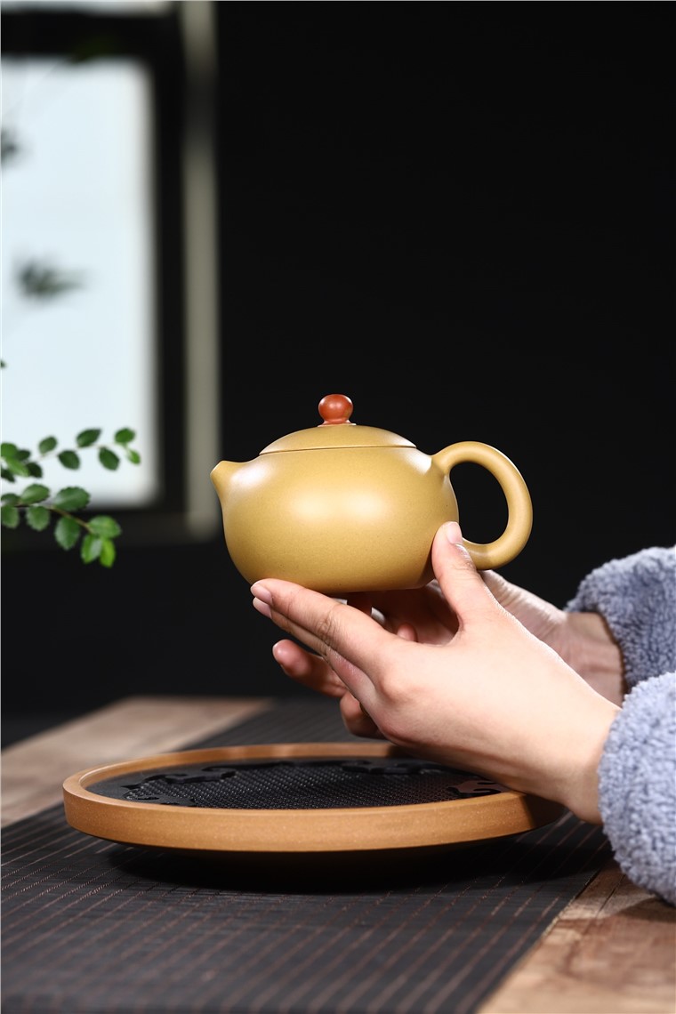 范君浩作品 西施图片