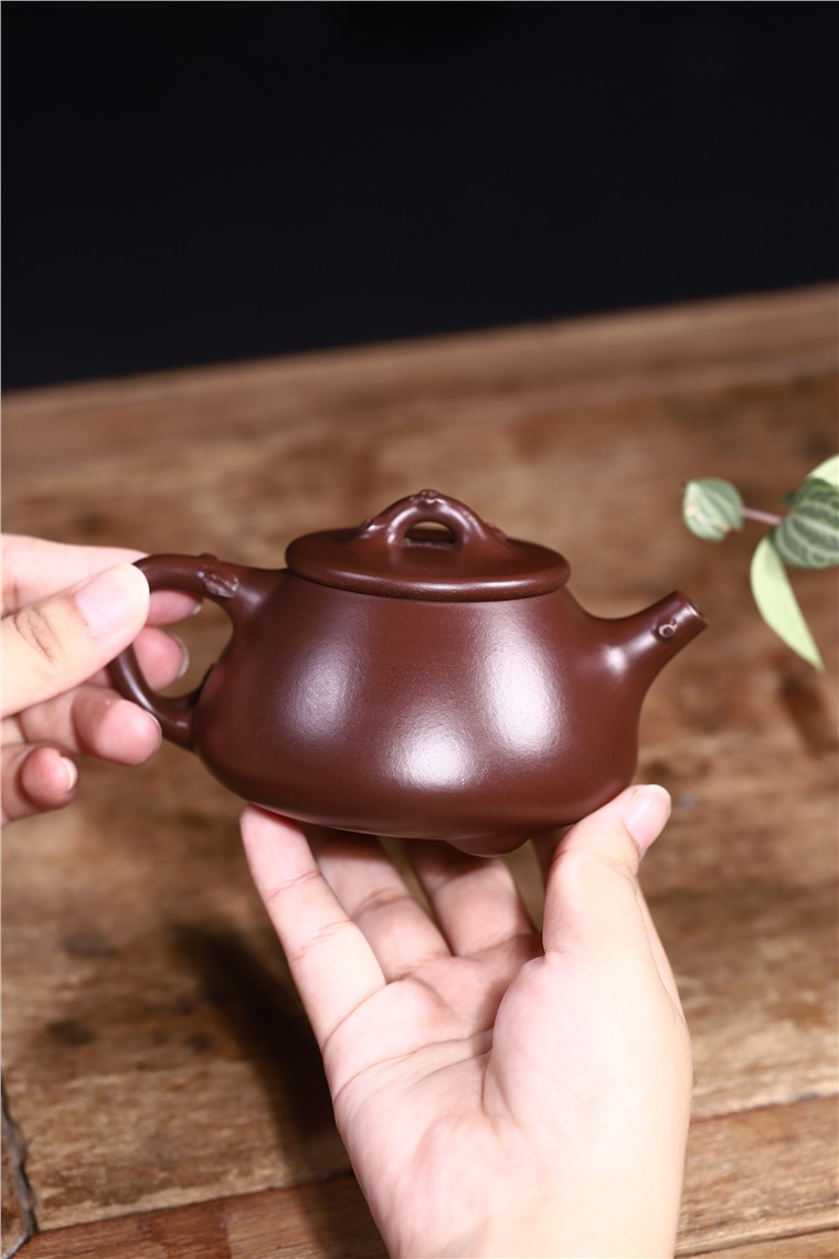 史宗娟作品 红梅迎春图片