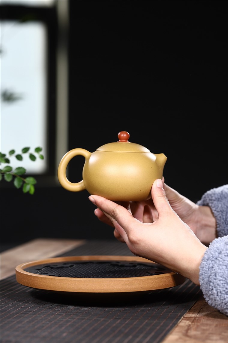 范君浩作品 西施图片