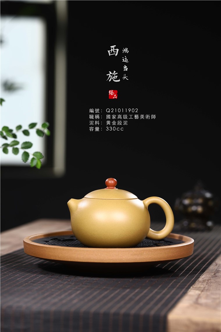 范君浩作品 西施图片
