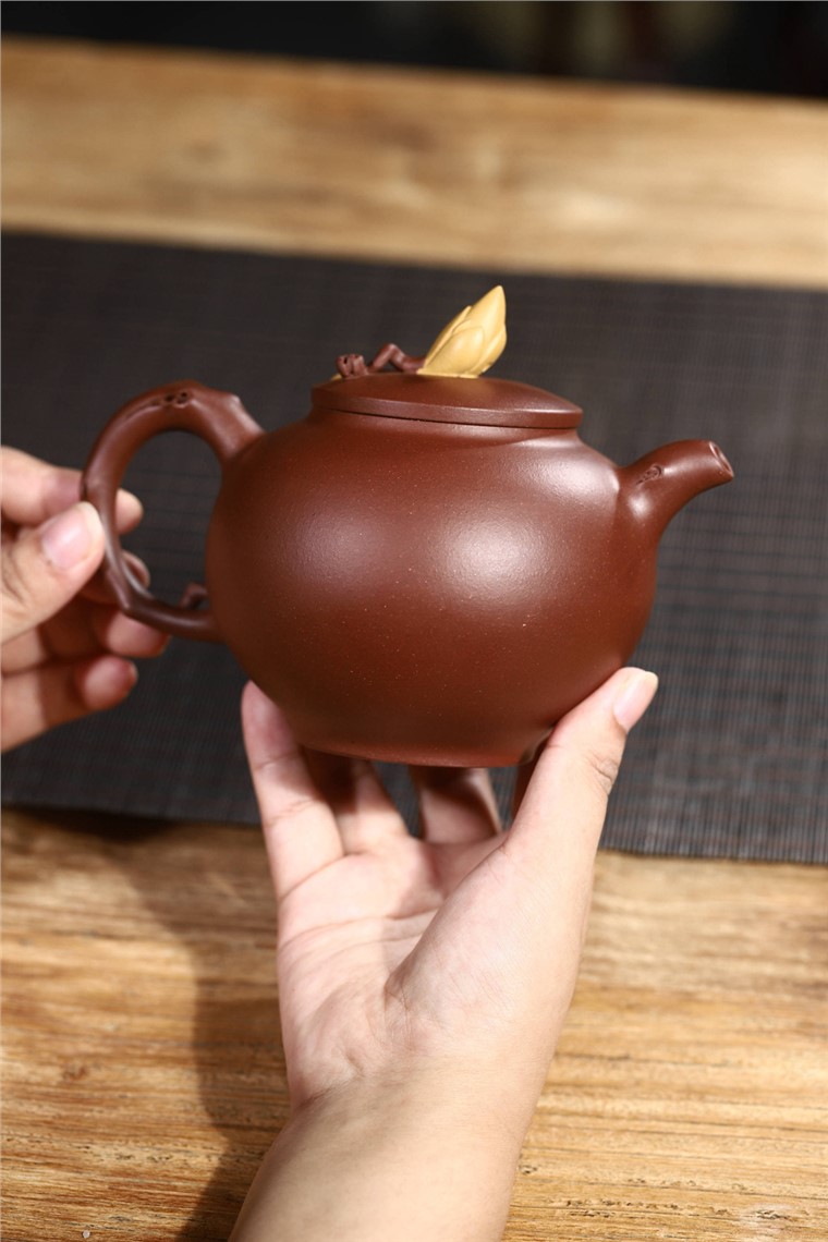 史宗娟作品 玉兰春风图片