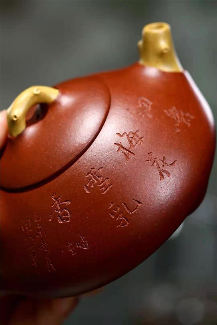 单志萍作品 梅花石瓢图片