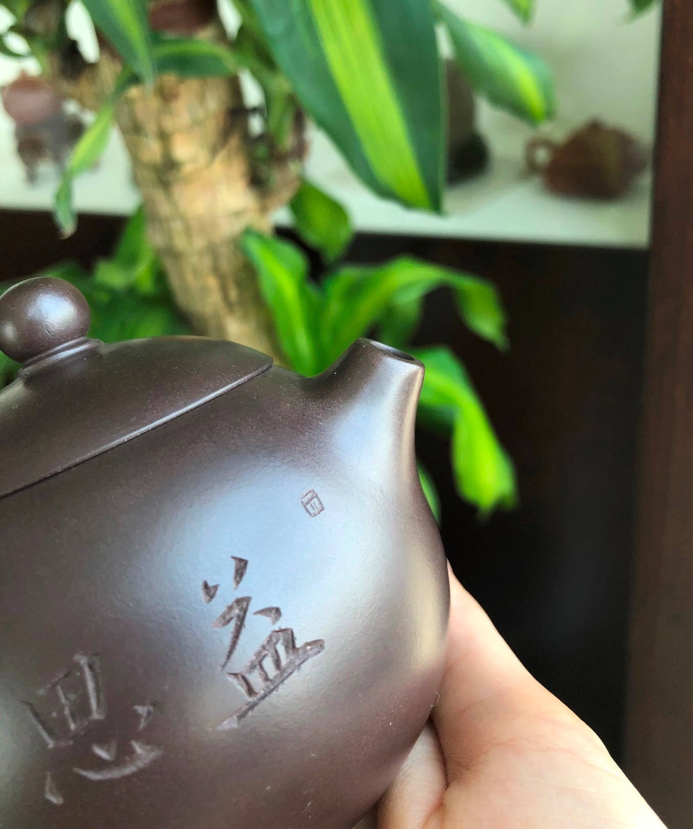 徐峰作品 益思养性西施