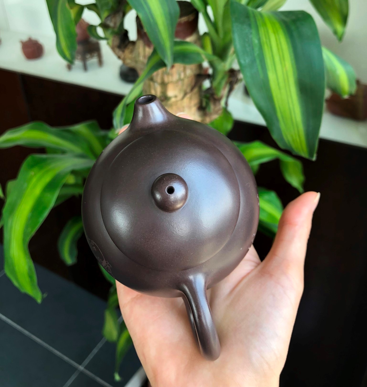 徐峰作品 益思养性西施