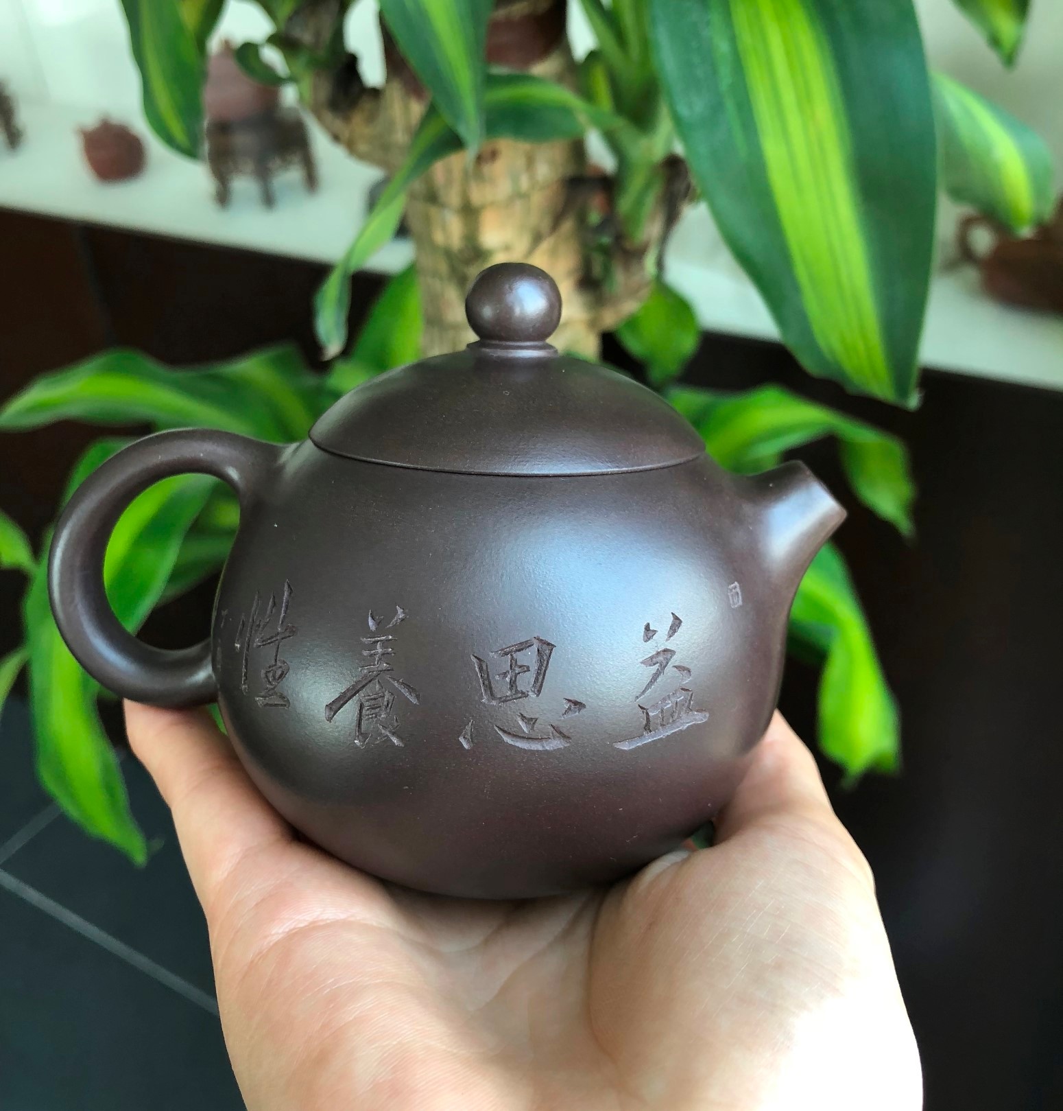 徐峰作品 益思养性西施