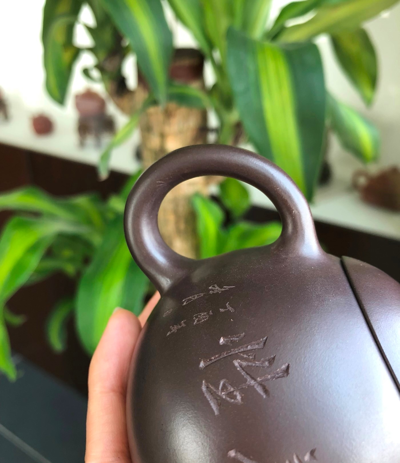 徐峰作品 益思养性西施