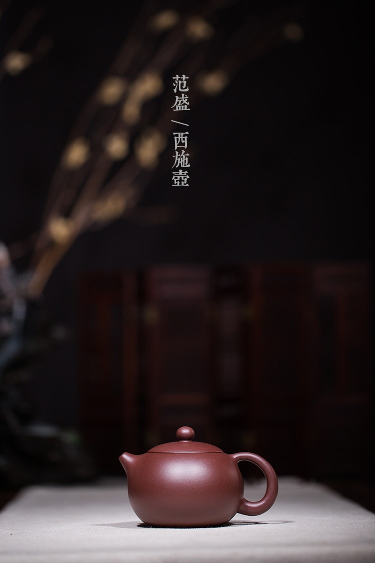 范盛作品 西施