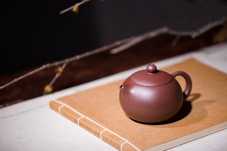 范盛作品 西施