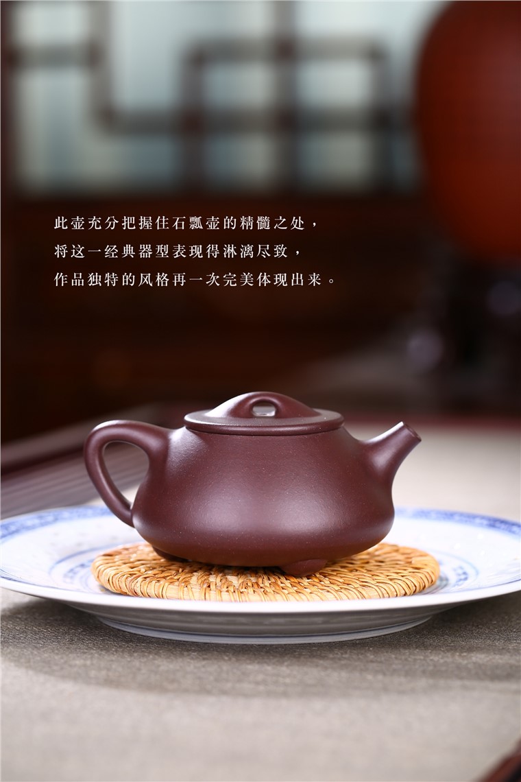 吴赛春作品 景舟石瓢图片