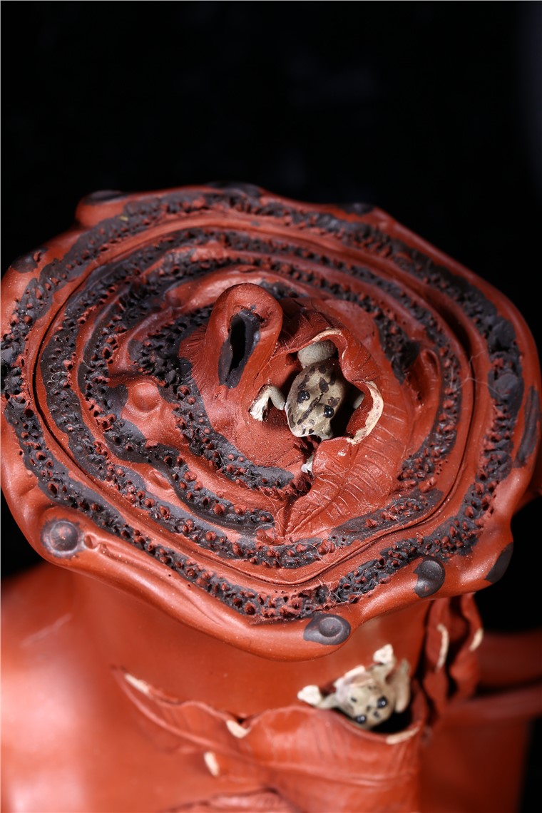 张剑作品 蛙趣图片
