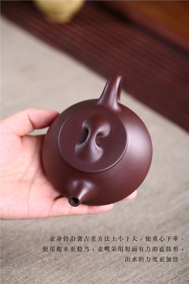 吴赛春作品 景舟石瓢图片