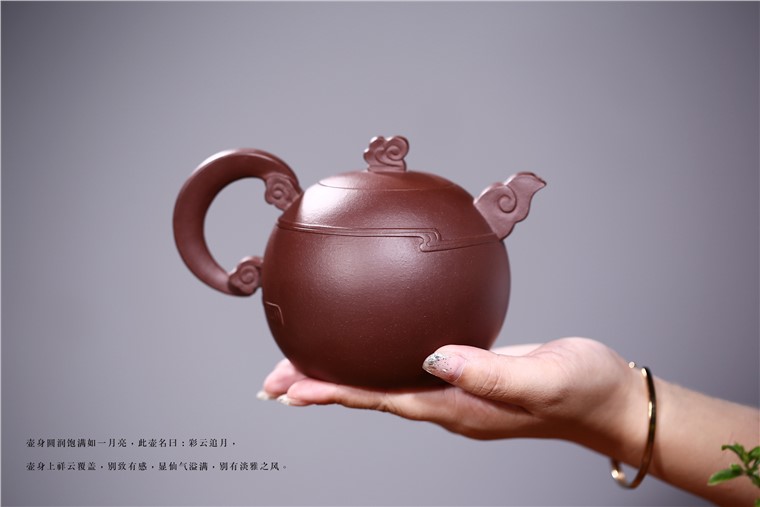 吴赛春作品 彩云追月图片