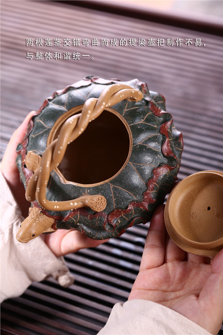 张剑作品 莲年有鱼图片