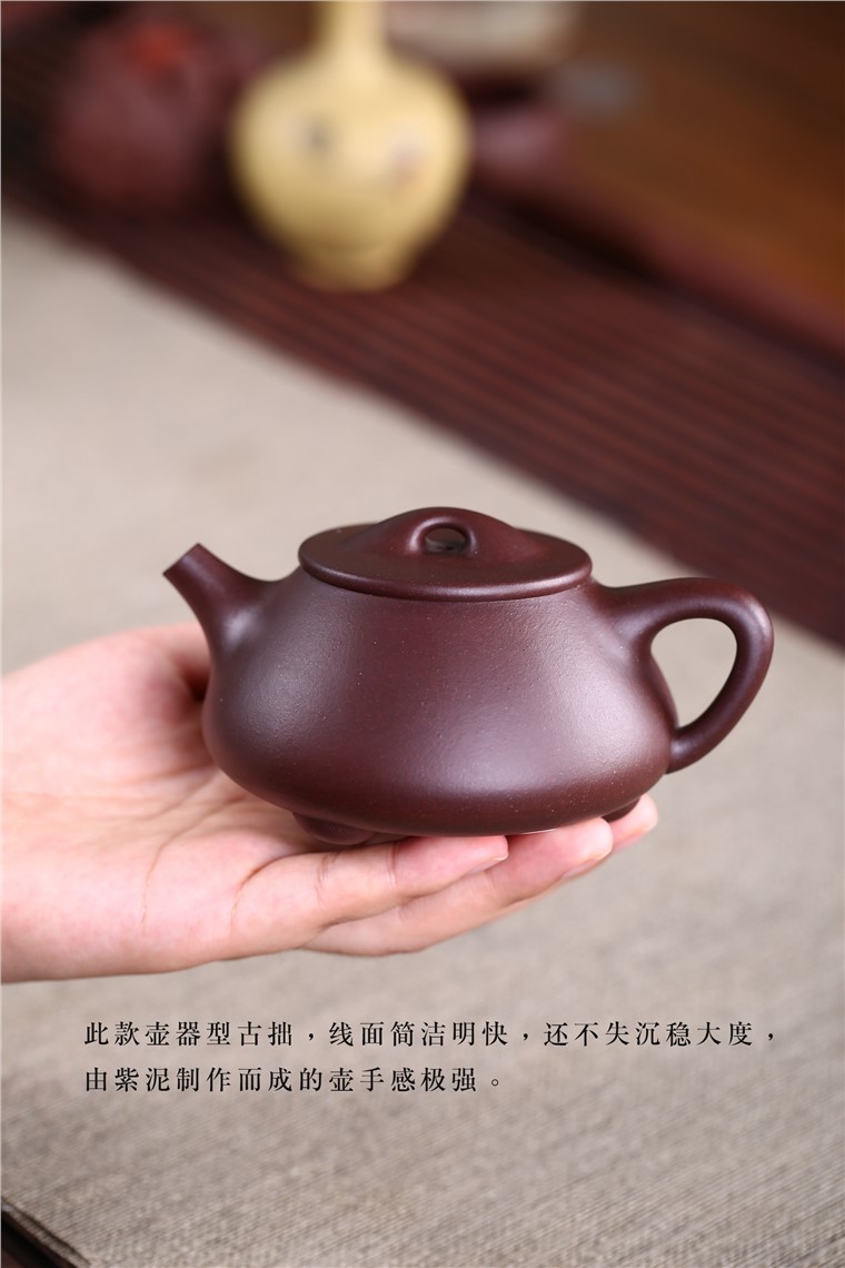 吴赛春作品 景舟石瓢图片