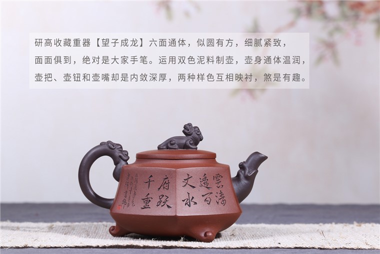 朱建伟作品 望子成龙
