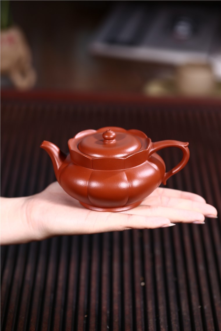 姚华君作品 筋纹僧帽图片