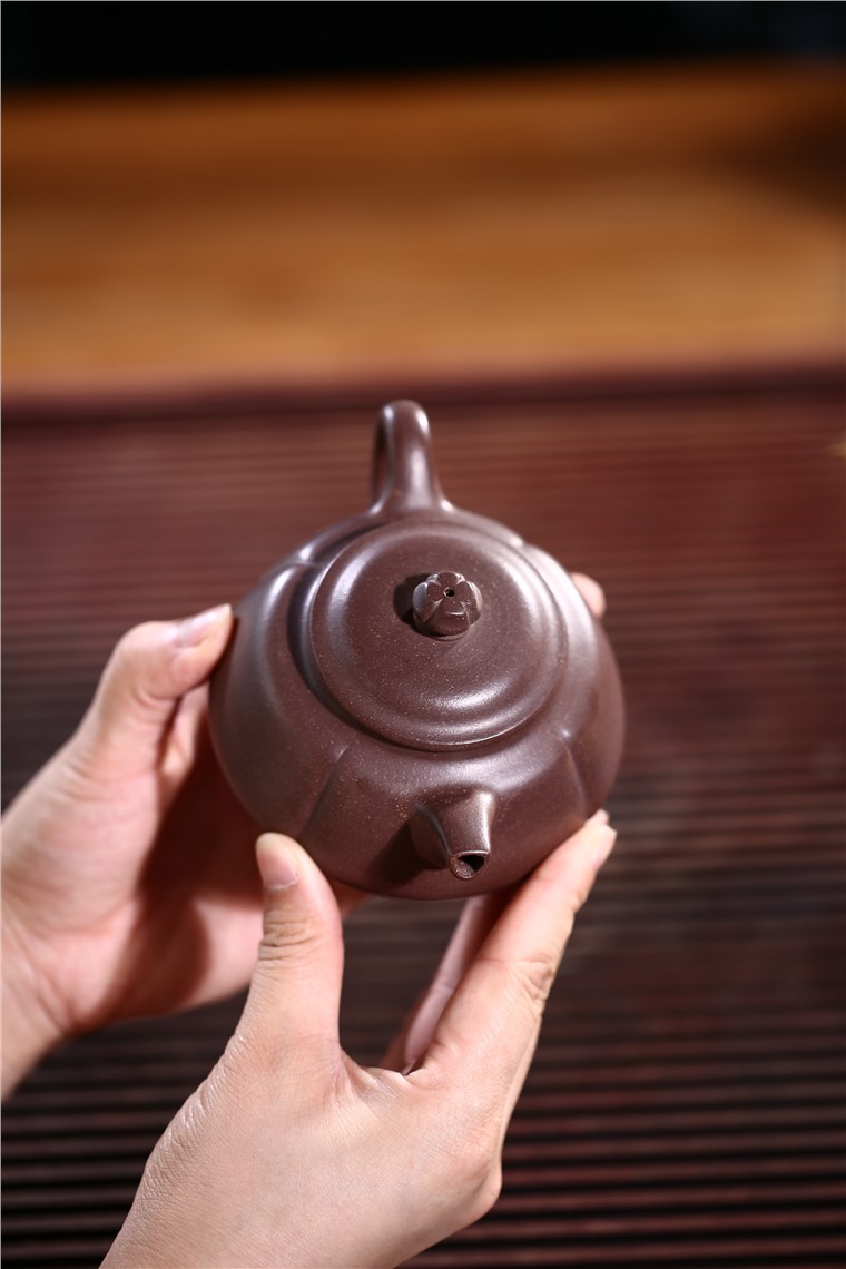 姚华君作品 锦葵图片
