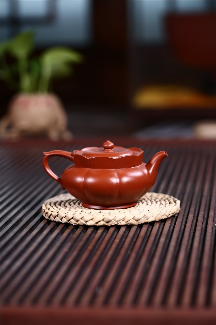 姚华君作品 筋纹僧帽图片