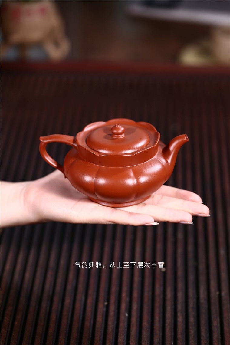 姚华君作品 筋纹僧帽图片