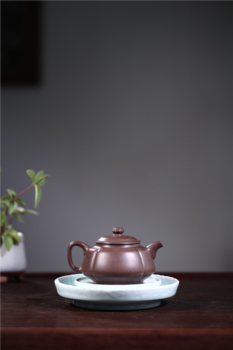 姚华君作品 锦葵图片