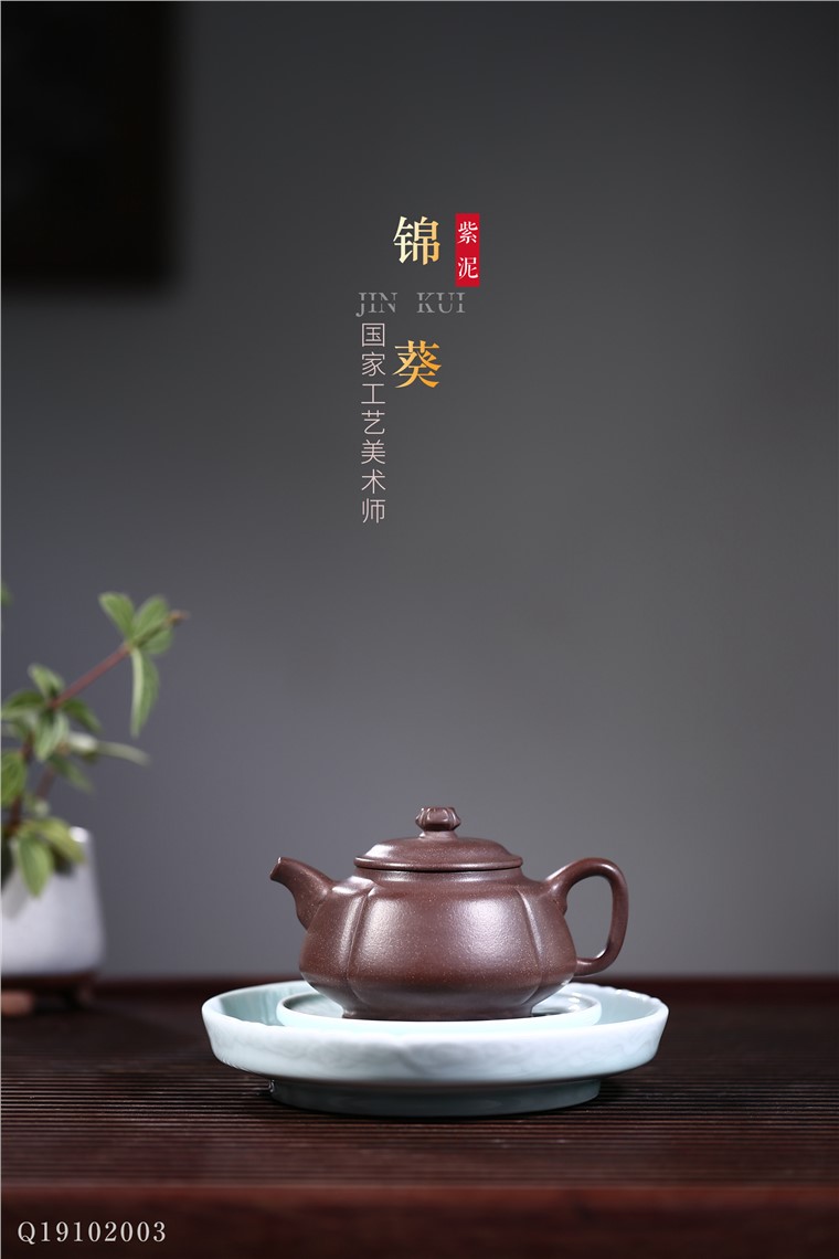 姚华君作品 锦葵图片