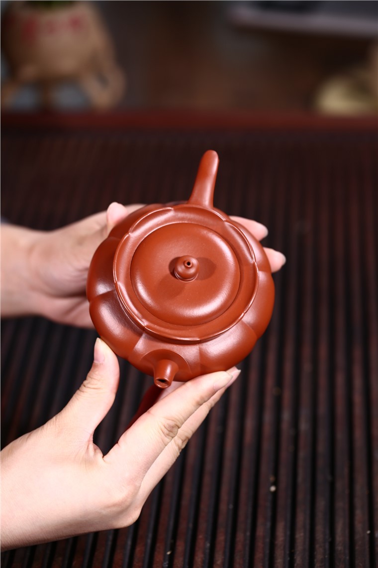 姚华君作品 筋纹僧帽图片