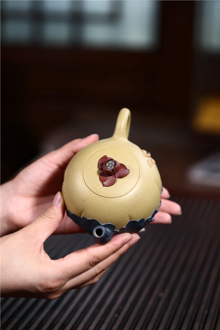 姚华君作品 出水芙蓉图片