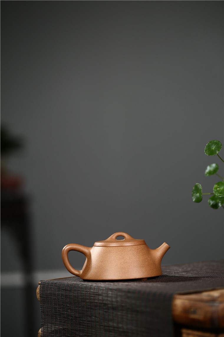 许冠新作品 石瓢图片