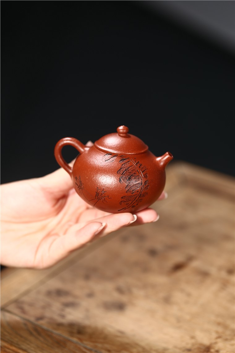 郁晴作品 妙趣图片