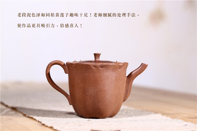 朱建平作品 莲趣图片