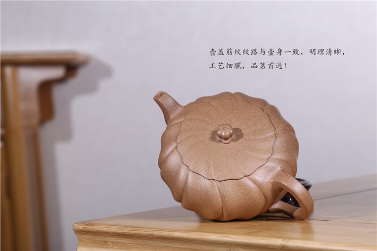 徐敏作品 旋莲图片
