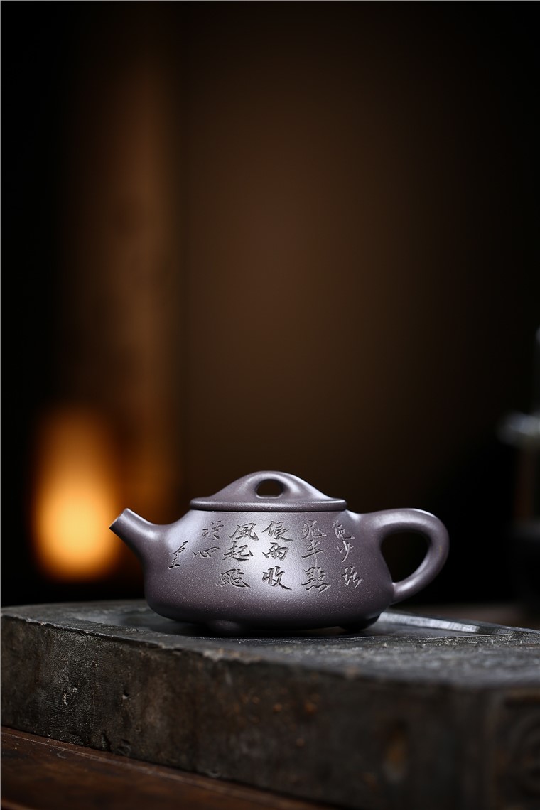 姚玲香作品 景舟石瓢图片