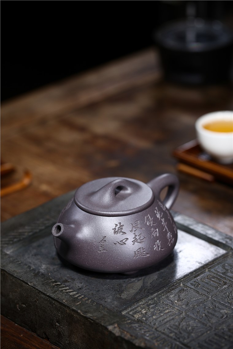 姚玲香作品 景舟石瓢图片