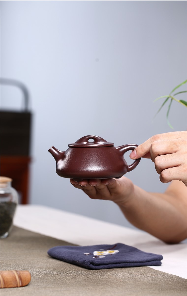 龚美娟作品 景舟石瓢图片