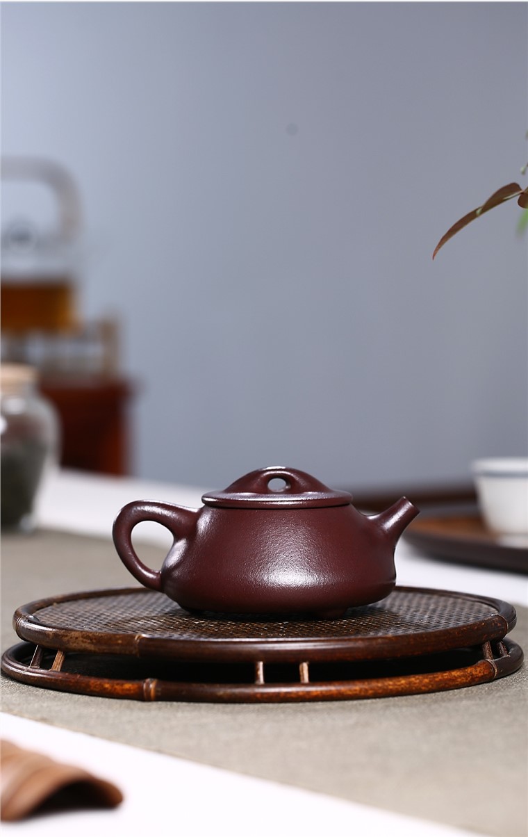 龚美娟作品 景舟石瓢图片