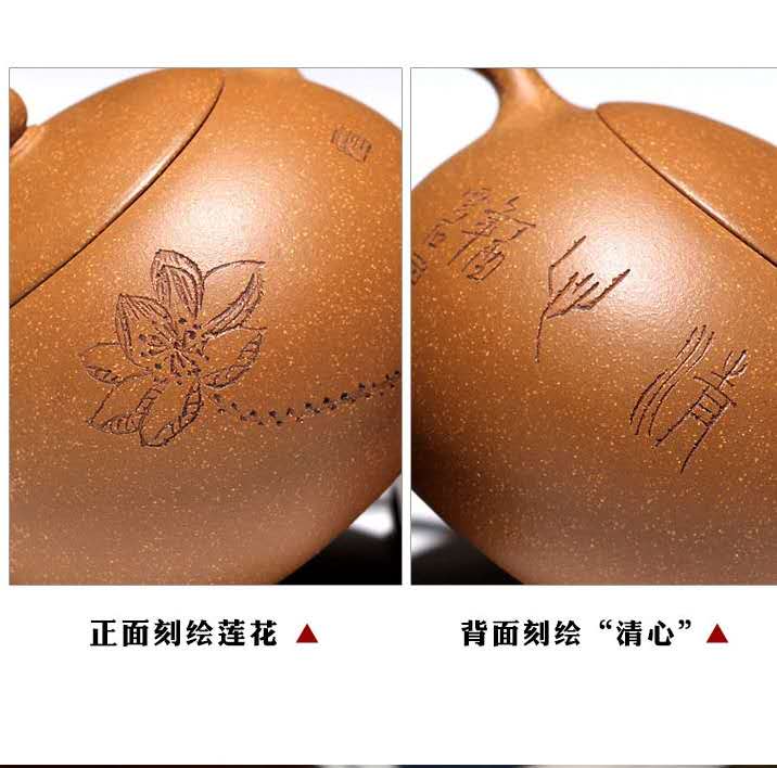 李晓璐作品 莲花西施图片