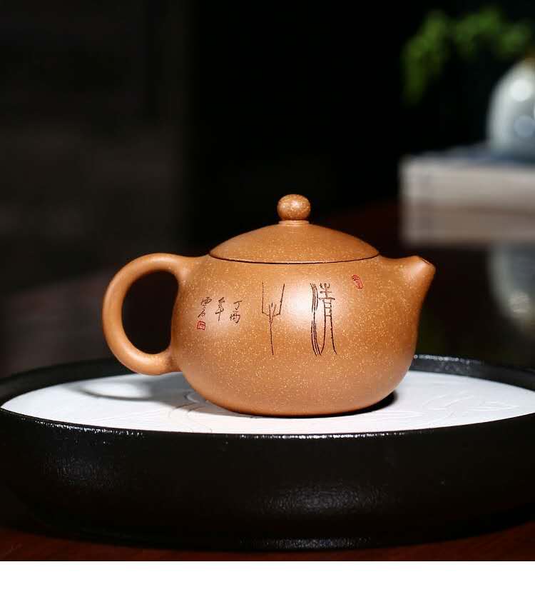 李晓璐作品 莲花西施图片