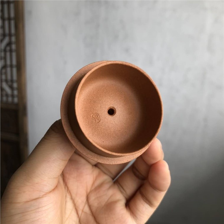 孙希希作品 合欢图片