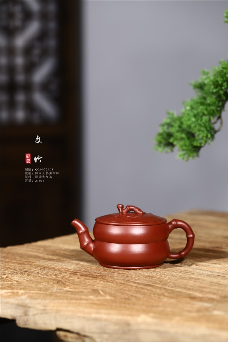 史宗娟作品 文竹图片