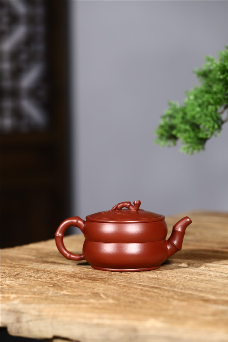 史宗娟作品 文竹图片